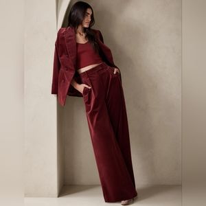 Banana Republic Veluro Relaxed Velvet Pants in Cabin Red